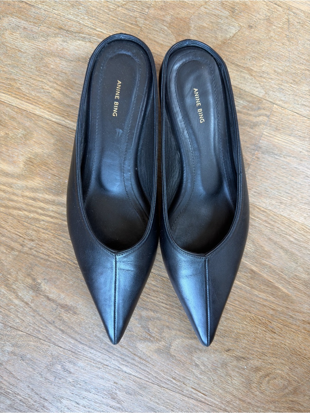 Anine Bing Rooney Mules - Picture 5 of 13